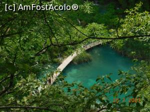 [P23] Peste verdele apelor, podeţele de lemn » foto by irinad
 - 
<span class="allrVoted glyphicon glyphicon-heart hidden" id="av1250290"></span>
<a class="m-l-10 hidden" id="sv1250290" onclick="voting_Foto_DelVot(,1250290,412)" role="button">șterge vot <span class="glyphicon glyphicon-remove"></span></a>
<a id="v91250290" class=" c-red"  onclick="voting_Foto_SetVot(1250290)" role="button"><span class="glyphicon glyphicon-heart-empty"></span> <b>LIKE</b> = Votează poza</a> <img class="hidden"  id="f1250290W9" src="/imagini/loader.gif" border="0" /><span class="AjErrMes hidden" id="e1250290ErM"></span>