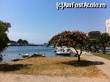 [P01] Portul din Zadar » foto by fvpmed
 - 
<span class="allrVoted glyphicon glyphicon-heart hidden" id="av346765"></span>
<a class="m-l-10 hidden" id="sv346765" onclick="voting_Foto_DelVot(,346765,414)" role="button">șterge vot <span class="glyphicon glyphicon-remove"></span></a>
<a id="v9346765" class=" c-red"  onclick="voting_Foto_SetVot(346765)" role="button"><span class="glyphicon glyphicon-heart-empty"></span> <b>LIKE</b> = Votează poza</a> <img class="hidden"  id="f346765W9" src="/imagini/loader.gif" border="0" /><span class="AjErrMes hidden" id="e346765ErM"></span>