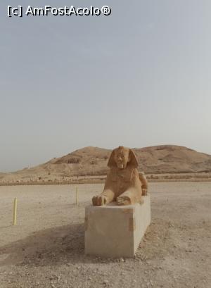 [P11] Excursie Luxor » foto by GoldenCris
 - 
<span class="allrVoted glyphicon glyphicon-heart hidden" id="av1368109"></span>
<a class="m-l-10 hidden" id="sv1368109" onclick="voting_Foto_DelVot(,1368109,418)" role="button">șterge vot <span class="glyphicon glyphicon-remove"></span></a>
<a id="v91368109" class=" c-red"  onclick="voting_Foto_SetVot(1368109)" role="button"><span class="glyphicon glyphicon-heart-empty"></span> <b>LIKE</b> = Votează poza</a> <img class="hidden"  id="f1368109W9" src="/imagini/loader.gif" border="0" /><span class="AjErrMes hidden" id="e1368109ErM"></span>