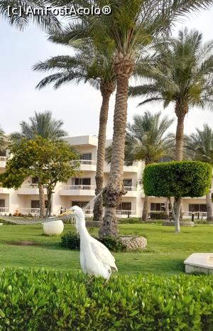 [P12] Gradina hotelului » foto by GoldenCris
 - 
<span class="allrVoted glyphicon glyphicon-heart hidden" id="av1368110"></span>
<a class="m-l-10 hidden" id="sv1368110" onclick="voting_Foto_DelVot(,1368110,418)" role="button">șterge vot <span class="glyphicon glyphicon-remove"></span></a>
<a id="v91368110" class=" c-red"  onclick="voting_Foto_SetVot(1368110)" role="button"><span class="glyphicon glyphicon-heart-empty"></span> <b>LIKE</b> = Votează poza</a> <img class="hidden"  id="f1368110W9" src="/imagini/loader.gif" border="0" /><span class="AjErrMes hidden" id="e1368110ErM"></span>