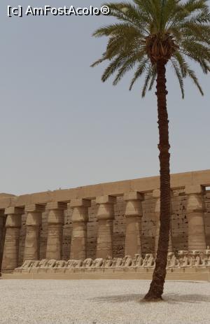 [P13] Excursie Luxor » foto by GoldenCris
 - 
<span class="allrVoted glyphicon glyphicon-heart hidden" id="av1368111"></span>
<a class="m-l-10 hidden" id="sv1368111" onclick="voting_Foto_DelVot(,1368111,418)" role="button">șterge vot <span class="glyphicon glyphicon-remove"></span></a>
<a id="v91368111" class=" c-red"  onclick="voting_Foto_SetVot(1368111)" role="button"><span class="glyphicon glyphicon-heart-empty"></span> <b>LIKE</b> = Votează poza</a> <img class="hidden"  id="f1368111W9" src="/imagini/loader.gif" border="0" /><span class="AjErrMes hidden" id="e1368111ErM"></span>