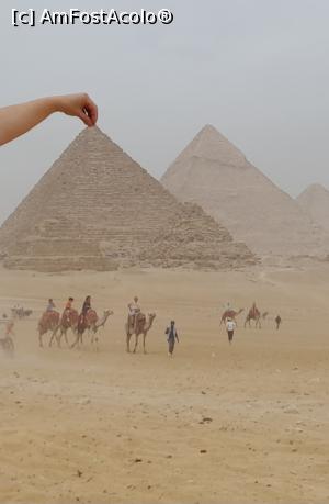 [P15] Excursie Cairo » foto by GoldenCris
 - 
<span class="allrVoted glyphicon glyphicon-heart hidden" id="av1368113"></span>
<a class="m-l-10 hidden" id="sv1368113" onclick="voting_Foto_DelVot(,1368113,418)" role="button">șterge vot <span class="glyphicon glyphicon-remove"></span></a>
<a id="v91368113" class=" c-red"  onclick="voting_Foto_SetVot(1368113)" role="button"><span class="glyphicon glyphicon-heart-empty"></span> <b>LIKE</b> = Votează poza</a> <img class="hidden"  id="f1368113W9" src="/imagini/loader.gif" border="0" /><span class="AjErrMes hidden" id="e1368113ErM"></span>