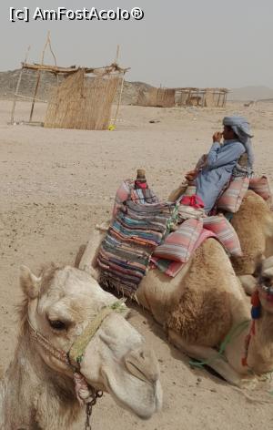 [P16] Excursie safari » foto by GoldenCris
 - 
<span class="allrVoted glyphicon glyphicon-heart hidden" id="av1368114"></span>
<a class="m-l-10 hidden" id="sv1368114" onclick="voting_Foto_DelVot(,1368114,418)" role="button">șterge vot <span class="glyphicon glyphicon-remove"></span></a>
<a id="v91368114" class=" c-red"  onclick="voting_Foto_SetVot(1368114)" role="button"><span class="glyphicon glyphicon-heart-empty"></span> <b>LIKE</b> = Votează poza</a> <img class="hidden"  id="f1368114W9" src="/imagini/loader.gif" border="0" /><span class="AjErrMes hidden" id="e1368114ErM"></span>