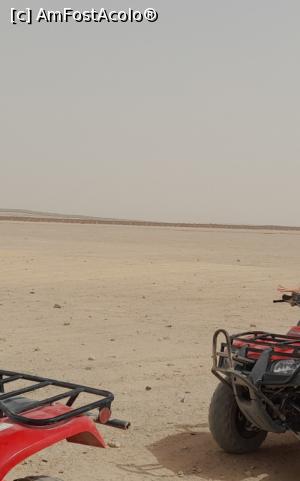 [P18] Excursie safari » foto by GoldenCris
 - 
<span class="allrVoted glyphicon glyphicon-heart hidden" id="av1368116"></span>
<a class="m-l-10 hidden" id="sv1368116" onclick="voting_Foto_DelVot(,1368116,418)" role="button">șterge vot <span class="glyphicon glyphicon-remove"></span></a>
<a id="v91368116" class=" c-red"  onclick="voting_Foto_SetVot(1368116)" role="button"><span class="glyphicon glyphicon-heart-empty"></span> <b>LIKE</b> = Votează poza</a> <img class="hidden"  id="f1368116W9" src="/imagini/loader.gif" border="0" /><span class="AjErrMes hidden" id="e1368116ErM"></span>