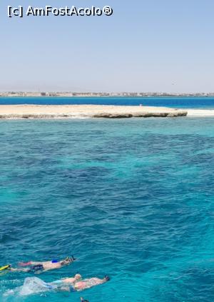 [P02] Snorkeling » foto by GoldenCris
 - 
<span class="allrVoted glyphicon glyphicon-heart hidden" id="av1368100"></span>
<a class="m-l-10 hidden" id="sv1368100" onclick="voting_Foto_DelVot(,1368100,418)" role="button">șterge vot <span class="glyphicon glyphicon-remove"></span></a>
<a id="v91368100" class=" c-red"  onclick="voting_Foto_SetVot(1368100)" role="button"><span class="glyphicon glyphicon-heart-empty"></span> <b>LIKE</b> = Votează poza</a> <img class="hidden"  id="f1368100W9" src="/imagini/loader.gif" border="0" /><span class="AjErrMes hidden" id="e1368100ErM"></span>