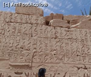 [P05] Luxor templul Karnak » foto by GoldenCris
 - 
<span class="allrVoted glyphicon glyphicon-heart hidden" id="av1368103"></span>
<a class="m-l-10 hidden" id="sv1368103" onclick="voting_Foto_DelVot(,1368103,418)" role="button">șterge vot <span class="glyphicon glyphicon-remove"></span></a>
<a id="v91368103" class=" c-red"  onclick="voting_Foto_SetVot(1368103)" role="button"><span class="glyphicon glyphicon-heart-empty"></span> <b>LIKE</b> = Votează poza</a> <img class="hidden"  id="f1368103W9" src="/imagini/loader.gif" border="0" /><span class="AjErrMes hidden" id="e1368103ErM"></span>