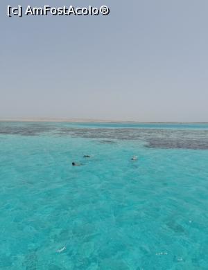 [P09] Snorkeling hotel » foto by GoldenCris
 - 
<span class="allrVoted glyphicon glyphicon-heart hidden" id="av1368107"></span>
<a class="m-l-10 hidden" id="sv1368107" onclick="voting_Foto_DelVot(,1368107,418)" role="button">șterge vot <span class="glyphicon glyphicon-remove"></span></a>
<a id="v91368107" class=" c-red"  onclick="voting_Foto_SetVot(1368107)" role="button"><span class="glyphicon glyphicon-heart-empty"></span> <b>LIKE</b> = Votează poza</a> <img class="hidden"  id="f1368107W9" src="/imagini/loader.gif" border="0" /><span class="AjErrMes hidden" id="e1368107ErM"></span>