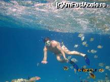 [P2x]  -- <small>// FĂRĂ DESCRIERE</small> » foto by trotilu*
 - 
<span class="allrVoted glyphicon glyphicon-heart hidden" id="av31495"></span>
<a class="m-l-10 hidden" id="sv31495" onclick="voting_Foto_DelVot(,31495,418)" role="button">șterge vot <span class="glyphicon glyphicon-remove"></span></a>
<a id="v931495" class=" c-red"  onclick="voting_Foto_SetVot(31495)" role="button"><span class="glyphicon glyphicon-heart-empty"></span> <b>LIKE</b> = Votează poza</a> <img class="hidden"  id="f31495W9" src="/imagini/loader.gif" border="0" /><span class="AjErrMes hidden" id="e31495ErM"></span>