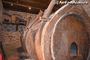 [P40] Mega butoi...  » foto by fregata
 - 
<span class="allrVoted glyphicon glyphicon-heart hidden" id="av635410"></span>
<a class="m-l-10 hidden" id="sv635410" onclick="voting_Foto_DelVot(,635410,430)" role="button">șterge vot <span class="glyphicon glyphicon-remove"></span></a>
<a id="v9635410" class=" c-red"  onclick="voting_Foto_SetVot(635410)" role="button"><span class="glyphicon glyphicon-heart-empty"></span> <b>LIKE</b> = Votează poza</a> <img class="hidden"  id="f635410W9" src="/imagini/loader.gif" border="0" /><span class="AjErrMes hidden" id="e635410ErM"></span>