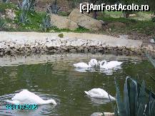 [P114]  -- <small>// FĂRĂ DESCRIERE</small> » foto by mariuscfar
 - 
<span class="allrVoted glyphicon glyphicon-heart hidden" id="av301060"></span>
<a class="m-l-10 hidden" id="sv301060" onclick="voting_Foto_DelVot(,301060,447)" role="button">șterge vot <span class="glyphicon glyphicon-remove"></span></a>
<a id="v9301060" class=" c-red"  onclick="voting_Foto_SetVot(301060)" role="button"><span class="glyphicon glyphicon-heart-empty"></span> <b>LIKE</b> = Votează poza</a> <img class="hidden"  id="f301060W9" src="/imagini/loader.gif" border="0" /><span class="AjErrMes hidden" id="e301060ErM"></span>