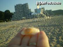 [P24] hotelul vazut de pe plaja » foto by luminita007*
 - 
<span class="allrVoted glyphicon glyphicon-heart hidden" id="av268972"></span>
<a class="m-l-10 hidden" id="sv268972" onclick="voting_Foto_DelVot(,268972,453)" role="button">șterge vot <span class="glyphicon glyphicon-remove"></span></a>
<a id="v9268972" class=" c-red"  onclick="voting_Foto_SetVot(268972)" role="button"><span class="glyphicon glyphicon-heart-empty"></span> <b>LIKE</b> = Votează poza</a> <img class="hidden"  id="f268972W9" src="/imagini/loader.gif" border="0" /><span class="AjErrMes hidden" id="e268972ErM"></span>