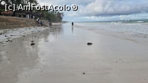 P12 [JUL-2021] Diani Beach