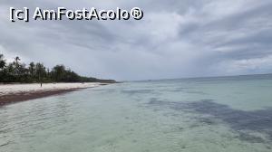 [P06] Diani Beach » foto by robert
 - 
<span class="allrVoted glyphicon glyphicon-heart hidden" id="av1247665"></span>
<a class="m-l-10 hidden" id="sv1247665" onclick="voting_Foto_DelVot(,1247665,459)" role="button">șterge vot <span class="glyphicon glyphicon-remove"></span></a>
<a id="v91247665" class=" c-red"  onclick="voting_Foto_SetVot(1247665)" role="button"><span class="glyphicon glyphicon-heart-empty"></span> <b>LIKE</b> = Votează poza</a> <img class="hidden"  id="f1247665W9" src="/imagini/loader.gif" border="0" /><span class="AjErrMes hidden" id="e1247665ErM"></span>