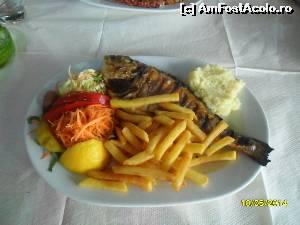 [P12] Dorada-garnitura si salata sunt incluse la orice meniu. Aici in Potos-taverna Irene.  » foto by viorica purdel
 - 
<span class="allrVoted glyphicon glyphicon-heart hidden" id="av605603"></span>
<a class="m-l-10 hidden" id="sv605603" onclick="voting_Foto_DelVot(,605603,460)" role="button">șterge vot <span class="glyphicon glyphicon-remove"></span></a>
<a id="v9605603" class=" c-red"  onclick="voting_Foto_SetVot(605603)" role="button"><span class="glyphicon glyphicon-heart-empty"></span> <b>LIKE</b> = Votează poza</a> <img class="hidden"  id="f605603W9" src="/imagini/loader.gif" border="0" /><span class="AjErrMes hidden" id="e605603ErM"></span>
