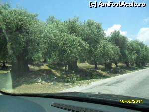 [P09] Livezi de maslini spre Maries » foto by viorica purdel
 - 
<span class="allrVoted glyphicon glyphicon-heart hidden" id="av605600"></span>
<a class="m-l-10 hidden" id="sv605600" onclick="voting_Foto_DelVot(,605600,460)" role="button">șterge vot <span class="glyphicon glyphicon-remove"></span></a>
<a id="v9605600" class=" c-red"  onclick="voting_Foto_SetVot(605600)" role="button"><span class="glyphicon glyphicon-heart-empty"></span> <b>LIKE</b> = Votează poza</a> <img class="hidden"  id="f605600W9" src="/imagini/loader.gif" border="0" /><span class="AjErrMes hidden" id="e605600ErM"></span>