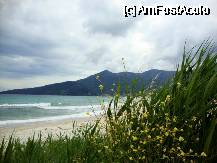 [P01] Golden Beach - valuri si nori in prima zi » foto by Ammelie
 - 
<span class="allrVoted glyphicon glyphicon-heart hidden" id="av331051"></span>
<a class="m-l-10 hidden" id="sv331051" onclick="voting_Foto_DelVot(,331051,460)" role="button">șterge vot <span class="glyphicon glyphicon-remove"></span></a>
<a id="v9331051" class=" c-red"  onclick="voting_Foto_SetVot(331051)" role="button"><span class="glyphicon glyphicon-heart-empty"></span> <b>LIKE</b> = Votează poza</a> <img class="hidden"  id="f331051W9" src="/imagini/loader.gif" border="0" /><span class="AjErrMes hidden" id="e331051ErM"></span>