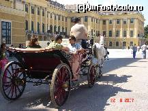 [P08] Palatul Schonbrunn, loc de resedinta a familiei de Habsburg » foto by zpedro*
 - 
<span class="allrVoted glyphicon glyphicon-heart hidden" id="av115391"></span>
<a class="m-l-10 hidden" id="sv115391" onclick="voting_Foto_DelVot(,115391,461)" role="button">șterge vot <span class="glyphicon glyphicon-remove"></span></a>
<a id="v9115391" class=" c-red"  onclick="voting_Foto_SetVot(115391)" role="button"><span class="glyphicon glyphicon-heart-empty"></span> <b>LIKE</b> = Votează poza</a> <img class="hidden"  id="f115391W9" src="/imagini/loader.gif" border="0" /><span class="AjErrMes hidden" id="e115391ErM"></span>