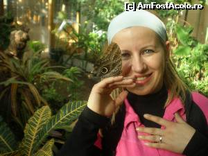 [P16] asa fluturi giganti n-am mai intalnit » foto by robert
 - 
<span class="allrVoted glyphicon glyphicon-heart hidden" id="av584772"></span>
<a class="m-l-10 hidden" id="sv584772" onclick="voting_Foto_DelVot(,584772,461)" role="button">șterge vot <span class="glyphicon glyphicon-remove"></span></a>
<a id="v9584772" class=" c-red"  onclick="voting_Foto_SetVot(584772)" role="button"><span class="glyphicon glyphicon-heart-empty"></span> <b>LIKE</b> = Votează poza</a> <img class="hidden"  id="f584772W9" src="/imagini/loader.gif" border="0" /><span class="AjErrMes hidden" id="e584772ErM"></span>