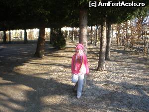 [P02] O oaza de verdeata in mijlocul iernii » foto by robert
 - 
<span class="allrVoted glyphicon glyphicon-heart hidden" id="av584758"></span>
<a class="m-l-10 hidden" id="sv584758" onclick="voting_Foto_DelVot(,584758,461)" role="button">șterge vot <span class="glyphicon glyphicon-remove"></span></a>
<a id="v9584758" class=" c-red"  onclick="voting_Foto_SetVot(584758)" role="button"><span class="glyphicon glyphicon-heart-empty"></span> <b>LIKE</b> = Votează poza</a> <img class="hidden"  id="f584758W9" src="/imagini/loader.gif" border="0" /><span class="AjErrMes hidden" id="e584758ErM"></span>