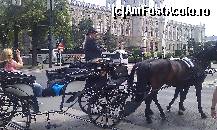 [P20] Trăsura pentru plimbare la palatul Hofburg din Viena, Austria.  » foto by traian.leuca †
 - 
<span class="allrVoted glyphicon glyphicon-heart hidden" id="av485265"></span>
<a class="m-l-10 hidden" id="sv485265" onclick="voting_Foto_DelVot(,485265,461)" role="button">șterge vot <span class="glyphicon glyphicon-remove"></span></a>
<a id="v9485265" class=" c-red"  onclick="voting_Foto_SetVot(485265)" role="button"><span class="glyphicon glyphicon-heart-empty"></span> <b>LIKE</b> = Votează poza</a> <img class="hidden"  id="f485265W9" src="/imagini/loader.gif" border="0" /><span class="AjErrMes hidden" id="e485265ErM"></span>
