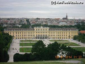 [P24] palatul Schounbrun Viena » foto by zlatna
 - 
<span class="allrVoted glyphicon glyphicon-heart hidden" id="av528696"></span>
<a class="m-l-10 hidden" id="sv528696" onclick="voting_Foto_DelVot(,528696,461)" role="button">șterge vot <span class="glyphicon glyphicon-remove"></span></a>
<a id="v9528696" class=" c-red"  onclick="voting_Foto_SetVot(528696)" role="button"><span class="glyphicon glyphicon-heart-empty"></span> <b>LIKE</b> = Votează poza</a> <img class="hidden"  id="f528696W9" src="/imagini/loader.gif" border="0" /><span class="AjErrMes hidden" id="e528696ErM"></span>