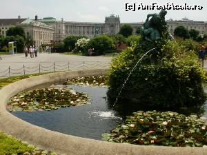 [P03] Gradinile Palatului Hofburg » foto by IULIU ANTAL
 - 
<span class="allrVoted glyphicon glyphicon-heart hidden" id="av581425"></span>
<a class="m-l-10 hidden" id="sv581425" onclick="voting_Foto_DelVot(,581425,461)" role="button">șterge vot <span class="glyphicon glyphicon-remove"></span></a>
<a id="v9581425" class=" c-red"  onclick="voting_Foto_SetVot(581425)" role="button"><span class="glyphicon glyphicon-heart-empty"></span> <b>LIKE</b> = Votează poza</a> <img class="hidden"  id="f581425W9" src="/imagini/loader.gif" border="0" /><span class="AjErrMes hidden" id="e581425ErM"></span>