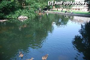 [P19] Viena, Parcul Burggarten » foto by unq
 - 
<span class="allrVoted glyphicon glyphicon-heart hidden" id="av486102"></span>
<a class="m-l-10 hidden" id="sv486102" onclick="voting_Foto_DelVot(,486102,461)" role="button">șterge vot <span class="glyphicon glyphicon-remove"></span></a>
<a id="v9486102" class=" c-red"  onclick="voting_Foto_SetVot(486102)" role="button"><span class="glyphicon glyphicon-heart-empty"></span> <b>LIKE</b> = Votează poza</a> <img class="hidden"  id="f486102W9" src="/imagini/loader.gif" border="0" /><span class="AjErrMes hidden" id="e486102ErM"></span>
