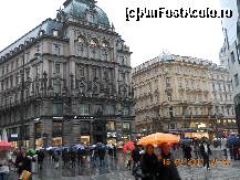 [P01]  -- <small>// FĂRĂ DESCRIERE</small> » foto by monicanitu*
 - 
<span class="allrVoted glyphicon glyphicon-heart hidden" id="av391818"></span>
<a class="m-l-10 hidden" id="sv391818" onclick="voting_Foto_DelVot(,391818,461)" role="button">șterge vot <span class="glyphicon glyphicon-remove"></span></a>
<a id="v9391818" class=" c-red"  onclick="voting_Foto_SetVot(391818)" role="button"><span class="glyphicon glyphicon-heart-empty"></span> <b>LIKE</b> = Votează poza</a> <img class="hidden"  id="f391818W9" src="/imagini/loader.gif" border="0" /><span class="AjErrMes hidden" id="e391818ErM"></span>