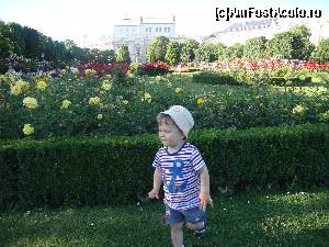 [P35] BUBU continuandu-si joaca prin parc.  » foto by liviu49
 - 
<span class="allrVoted glyphicon glyphicon-heart hidden" id="av622510"></span>
<a class="m-l-10 hidden" id="sv622510" onclick="voting_Foto_DelVot(,622510,461)" role="button">șterge vot <span class="glyphicon glyphicon-remove"></span></a>
<a id="v9622510" class=" c-red"  onclick="voting_Foto_SetVot(622510)" role="button"><span class="glyphicon glyphicon-heart-empty"></span> <b>LIKE</b> = Votează poza</a> <img class="hidden"  id="f622510W9" src="/imagini/loader.gif" border="0" /><span class="AjErrMes hidden" id="e622510ErM"></span>