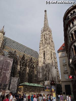 [P02] același Stephansdom » foto by Camelia19
 - 
<span class="allrVoted glyphicon glyphicon-heart hidden" id="av601056"></span>
<a class="m-l-10 hidden" id="sv601056" onclick="voting_Foto_DelVot(,601056,461)" role="button">șterge vot <span class="glyphicon glyphicon-remove"></span></a>
<a id="v9601056" class=" c-red"  onclick="voting_Foto_SetVot(601056)" role="button"><span class="glyphicon glyphicon-heart-empty"></span> <b>LIKE</b> = Votează poza</a> <img class="hidden"  id="f601056W9" src="/imagini/loader.gif" border="0" /><span class="AjErrMes hidden" id="e601056ErM"></span>