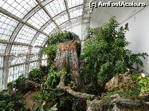 [P35] padurea tropicală din Schmetterlinghaus » foto by Camelia19
 - 
<span class="allrVoted glyphicon glyphicon-heart hidden" id="av601089"></span>
<a class="m-l-10 hidden" id="sv601089" onclick="voting_Foto_DelVot(,601089,461)" role="button">șterge vot <span class="glyphicon glyphicon-remove"></span></a>
<a id="v9601089" class=" c-red"  onclick="voting_Foto_SetVot(601089)" role="button"><span class="glyphicon glyphicon-heart-empty"></span> <b>LIKE</b> = Votează poza</a> <img class="hidden"  id="f601089W9" src="/imagini/loader.gif" border="0" /><span class="AjErrMes hidden" id="e601089ErM"></span>