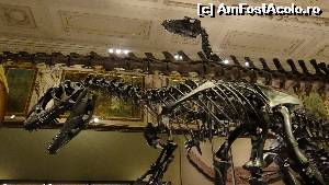 [P48 <small>[2007]</small>] Naturhistorisches Museum - schelete de dinozauri » foto by Camelia19
 - 
<span class="allrVoted glyphicon glyphicon-heart hidden" id="av601102"></span>
<a class="m-l-10 hidden" id="sv601102" onclick="voting_Foto_DelVot(,601102,461)" role="button">șterge vot <span class="glyphicon glyphicon-remove"></span></a>
<a id="v9601102" class=" c-red"  onclick="voting_Foto_SetVot(601102)" role="button"><span class="glyphicon glyphicon-heart-empty"></span> <b>LIKE</b> = Votează poza</a> <img class="hidden"  id="f601102W9" src="/imagini/loader.gif" border="0" /><span class="AjErrMes hidden" id="e601102ErM"></span>