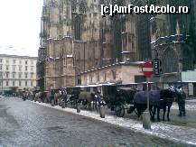 [P04] Convoiul de trasuri de la baza Catedralei si care isi asteptau turistii ! » foto by mirelutza
 - 
<span class="allrVoted glyphicon glyphicon-heart hidden" id="av70764"></span>
<a class="m-l-10 hidden" id="sv70764" onclick="voting_Foto_DelVot(,70764,461)" role="button">șterge vot <span class="glyphicon glyphicon-remove"></span></a>
<a id="v970764" class=" c-red"  onclick="voting_Foto_SetVot(70764)" role="button"><span class="glyphicon glyphicon-heart-empty"></span> <b>LIKE</b> = Votează poza</a> <img class="hidden"  id="f70764W9" src="/imagini/loader.gif" border="0" /><span class="AjErrMes hidden" id="e70764ErM"></span>