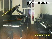 [P51] magazinul cu piane si pianine de pe Ringul Vienez. » foto by adryana
 - 
<span class="allrVoted glyphicon glyphicon-heart hidden" id="av312644"></span>
<a class="m-l-10 hidden" id="sv312644" onclick="voting_Foto_DelVot(,312644,461)" role="button">șterge vot <span class="glyphicon glyphicon-remove"></span></a>
<a id="v9312644" class=" c-red"  onclick="voting_Foto_SetVot(312644)" role="button"><span class="glyphicon glyphicon-heart-empty"></span> <b>LIKE</b> = Votează poza</a> <img class="hidden"  id="f312644W9" src="/imagini/loader.gif" border="0" /><span class="AjErrMes hidden" id="e312644ErM"></span>