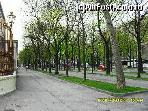 [P56] pe Ringul Vienez, in stanga e Palatul Imperial Hofburg. » foto by adryana
 - 
<span class="allrVoted glyphicon glyphicon-heart hidden" id="av312649"></span>
<a class="m-l-10 hidden" id="sv312649" onclick="voting_Foto_DelVot(,312649,461)" role="button">șterge vot <span class="glyphicon glyphicon-remove"></span></a>
<a id="v9312649" class=" c-red"  onclick="voting_Foto_SetVot(312649)" role="button"><span class="glyphicon glyphicon-heart-empty"></span> <b>LIKE</b> = Votează poza</a> <img class="hidden"  id="f312649W9" src="/imagini/loader.gif" border="0" /><span class="AjErrMes hidden" id="e312649ErM"></span>
