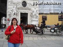[P62] la Palatul Imperial Hofburg. » foto by adryana
 - 
<span class="allrVoted glyphicon glyphicon-heart hidden" id="av312655"></span>
<a class="m-l-10 hidden" id="sv312655" onclick="voting_Foto_DelVot(,312655,461)" role="button">șterge vot <span class="glyphicon glyphicon-remove"></span></a>
<a id="v9312655" class=" c-red"  onclick="voting_Foto_SetVot(312655)" role="button"><span class="glyphicon glyphicon-heart-empty"></span> <b>LIKE</b> = Votează poza</a> <img class="hidden"  id="f312655W9" src="/imagini/loader.gif" border="0" /><span class="AjErrMes hidden" id="e312655ErM"></span>