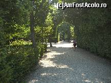 [P04] Alee la Schonbrunn » foto by alina7laca
 - 
<span class="allrVoted glyphicon glyphicon-heart hidden" id="av460040"></span>
<a class="m-l-10 hidden" id="sv460040" onclick="voting_Foto_DelVot(,460040,461)" role="button">șterge vot <span class="glyphicon glyphicon-remove"></span></a>
<a id="v9460040" class=" c-red"  onclick="voting_Foto_SetVot(460040)" role="button"><span class="glyphicon glyphicon-heart-empty"></span> <b>LIKE</b> = Votează poza</a> <img class="hidden"  id="f460040W9" src="/imagini/loader.gif" border="0" /><span class="AjErrMes hidden" id="e460040ErM"></span>