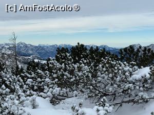 [P37] Untersberg - platoul » foto by adso
 - 
<span class="allrVoted glyphicon glyphicon-heart hidden" id="av1517546"></span>
<a class="m-l-10 hidden" id="sv1517546" onclick="voting_Foto_DelVot(,1517546,464)" role="button">șterge vot <span class="glyphicon glyphicon-remove"></span></a>
<a id="v91517546" class=" c-red"  onclick="voting_Foto_SetVot(1517546)" role="button"><span class="glyphicon glyphicon-heart-empty"></span> <b>LIKE</b> = Votează poza</a> <img class="hidden"  id="f1517546W9" src="/imagini/loader.gif" border="0" /><span class="AjErrMes hidden" id="e1517546ErM"></span>