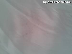 [P01] Faţă de pernă mucegăită » foto by AlinaCarp
 - 
<span class="allrVoted glyphicon glyphicon-heart hidden" id="av653114"></span>
<a class="m-l-10 hidden" id="sv653114" onclick="voting_Foto_DelVot(,653114,543)" role="button">șterge vot <span class="glyphicon glyphicon-remove"></span></a>
<a id="v9653114" class=" c-red"  onclick="voting_Foto_SetVot(653114)" role="button"><span class="glyphicon glyphicon-heart-empty"></span> <b>LIKE</b> = Votează poza</a> <img class="hidden"  id="f653114W9" src="/imagini/loader.gif" border="0" /><span class="AjErrMes hidden" id="e653114ErM"></span>