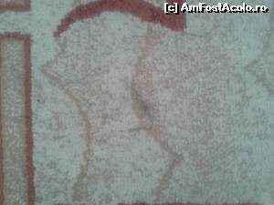 [P04] Covoraşul de la marginea patului, cu amintiri din părul turiştilor ce au trecut pe acolo.  » foto by AlinaCarp
 - 
<span class="allrVoted glyphicon glyphicon-heart hidden" id="av653124"></span>
<a class="m-l-10 hidden" id="sv653124" onclick="voting_Foto_DelVot(,653124,543)" role="button">șterge vot <span class="glyphicon glyphicon-remove"></span></a>
<a id="v9653124" class=" c-red"  onclick="voting_Foto_SetVot(653124)" role="button"><span class="glyphicon glyphicon-heart-empty"></span> <b>LIKE</b> = Votează poza</a> <img class="hidden"  id="f653124W9" src="/imagini/loader.gif" border="0" /><span class="AjErrMes hidden" id="e653124ErM"></span>