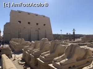 [P15] Templul Karnak,aleea de intrare mărginită de sfinxuri » foto by AZE
 - 
<span class="allrVoted glyphicon glyphicon-heart hidden" id="av1417844"></span>
<a class="m-l-10 hidden" id="sv1417844" onclick="voting_Foto_DelVot(,1417844,566)" role="button">șterge vot <span class="glyphicon glyphicon-remove"></span></a>
<a id="v91417844" class=" c-red"  onclick="voting_Foto_SetVot(1417844)" role="button"><span class="glyphicon glyphicon-heart-empty"></span> <b>LIKE</b> = Votează poza</a> <img class="hidden"  id="f1417844W9" src="/imagini/loader.gif" border="0" /><span class="AjErrMes hidden" id="e1417844ErM"></span>
