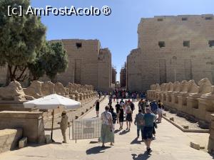 [P18] Templul Karnak,alee de intrare » foto by AZE
 - 
<span class="allrVoted glyphicon glyphicon-heart hidden" id="av1417847"></span>
<a class="m-l-10 hidden" id="sv1417847" onclick="voting_Foto_DelVot(,1417847,566)" role="button">șterge vot <span class="glyphicon glyphicon-remove"></span></a>
<a id="v91417847" class=" c-red"  onclick="voting_Foto_SetVot(1417847)" role="button"><span class="glyphicon glyphicon-heart-empty"></span> <b>LIKE</b> = Votează poza</a> <img class="hidden"  id="f1417847W9" src="/imagini/loader.gif" border="0" /><span class="AjErrMes hidden" id="e1417847ErM"></span>