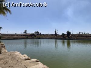 [P77] Templul Karnak,lacul sfânt » foto by AZE
 - 
<span class="allrVoted glyphicon glyphicon-heart hidden" id="av1417906"></span>
<a class="m-l-10 hidden" id="sv1417906" onclick="voting_Foto_DelVot(,1417906,566)" role="button">șterge vot <span class="glyphicon glyphicon-remove"></span></a>
<a id="v91417906" class=" c-red"  onclick="voting_Foto_SetVot(1417906)" role="button"><span class="glyphicon glyphicon-heart-empty"></span> <b>LIKE</b> = Votează poza</a> <img class="hidden"  id="f1417906W9" src="/imagini/loader.gif" border="0" /><span class="AjErrMes hidden" id="e1417906ErM"></span>