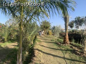 [P78] Banana Island,spre plantația de banane » foto by AZE
 - 
<span class="allrVoted glyphicon glyphicon-heart hidden" id="av1418435"></span>
<a class="m-l-10 hidden" id="sv1418435" onclick="voting_Foto_DelVot(,1418435,566)" role="button">șterge vot <span class="glyphicon glyphicon-remove"></span></a>
<a id="v91418435" class=" c-red"  onclick="voting_Foto_SetVot(1418435)" role="button"><span class="glyphicon glyphicon-heart-empty"></span> <b>LIKE</b> = Votează poza</a> <img class="hidden"  id="f1418435W9" src="/imagini/loader.gif" border="0" /><span class="AjErrMes hidden" id="e1418435ErM"></span>