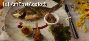 [P30] Plating la restaurant a la carte » foto by jimmy71
 - 
<span class="allrVoted glyphicon glyphicon-heart hidden" id="av1310089"></span>
<a class="m-l-10 hidden" id="sv1310089" onclick="voting_Foto_DelVot(,1310089,6)" role="button">șterge vot <span class="glyphicon glyphicon-remove"></span></a>
<a id="v91310089" class=" c-red"  onclick="voting_Foto_SetVot(1310089)" role="button"><span class="glyphicon glyphicon-heart-empty"></span> <b>LIKE</b> = Votează poza</a> <img class="hidden"  id="f1310089W9" src="/imagini/loader.gif" border="0" /><span class="AjErrMes hidden" id="e1310089ErM"></span>