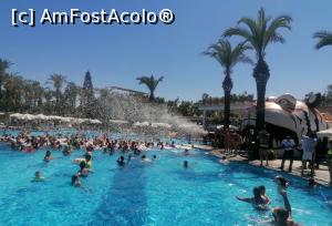 [P37] Pool party! » foto by M'Liviu
 - 
<span class="allrVoted glyphicon glyphicon-heart hidden" id="av1326022"></span>
<a class="m-l-10 hidden" id="sv1326022" onclick="voting_Foto_DelVot(,1326022,6)" role="button">șterge vot <span class="glyphicon glyphicon-remove"></span></a>
<a id="v91326022" class=" c-red"  onclick="voting_Foto_SetVot(1326022)" role="button"><span class="glyphicon glyphicon-heart-empty"></span> <b>LIKE</b> = Votează poza</a> <img class="hidden"  id="f1326022W9" src="/imagini/loader.gif" border="0" /><span class="AjErrMes hidden" id="e1326022ErM"></span>