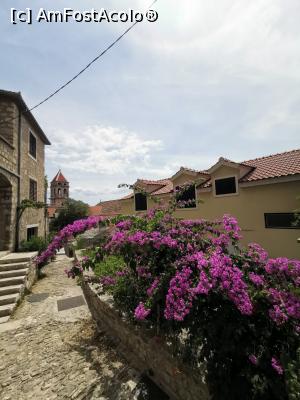 [P25] Poza preferata din Omis » foto by Catalin Mate
 - 
<span class="allrVoted glyphicon glyphicon-heart hidden" id="av1180094"></span>
<a class="m-l-10 hidden" id="sv1180094" onclick="voting_Foto_DelVot(,1180094,619)" role="button">șterge vot <span class="glyphicon glyphicon-remove"></span></a>
<a id="v91180094" class=" c-red"  onclick="voting_Foto_SetVot(1180094)" role="button"><span class="glyphicon glyphicon-heart-empty"></span> <b>LIKE</b> = Votează poza</a> <img class="hidden"  id="f1180094W9" src="/imagini/loader.gif" border="0" /><span class="AjErrMes hidden" id="e1180094ErM"></span>