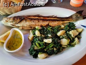 [P32] Restaurantul de langa Nautica » foto by Catalin Mate
 - 
<span class="allrVoted glyphicon glyphicon-heart hidden" id="av1180101"></span>
<a class="m-l-10 hidden" id="sv1180101" onclick="voting_Foto_DelVot(,1180101,619)" role="button">șterge vot <span class="glyphicon glyphicon-remove"></span></a>
<a id="v91180101" class=" c-red"  onclick="voting_Foto_SetVot(1180101)" role="button"><span class="glyphicon glyphicon-heart-empty"></span> <b>LIKE</b> = Votează poza</a> <img class="hidden"  id="f1180101W9" src="/imagini/loader.gif" border="0" /><span class="AjErrMes hidden" id="e1180101ErM"></span>
