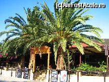 [P37] un restaurant din Kalamaki » foto by ldogaru
 - 
<span class="allrVoted glyphicon glyphicon-heart hidden" id="av190575"></span>
<a class="m-l-10 hidden" id="sv190575" onclick="voting_Foto_DelVot(,190575,639)" role="button">șterge vot <span class="glyphicon glyphicon-remove"></span></a>
<a id="v9190575" class=" c-red"  onclick="voting_Foto_SetVot(190575)" role="button"><span class="glyphicon glyphicon-heart-empty"></span> <b>LIKE</b> = Votează poza</a> <img class="hidden"  id="f190575W9" src="/imagini/loader.gif" border="0" /><span class="AjErrMes hidden" id="e190575ErM"></span>