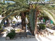 [P02] Gradina interioara a complexului » foto by Quasimodo
 - 
<span class="allrVoted glyphicon glyphicon-heart hidden" id="av450739"></span>
<a class="m-l-10 hidden" id="sv450739" onclick="voting_Foto_DelVot(,450739,640)" role="button">șterge vot <span class="glyphicon glyphicon-remove"></span></a>
<a id="v9450739" class=" c-red"  onclick="voting_Foto_SetVot(450739)" role="button"><span class="glyphicon glyphicon-heart-empty"></span> <b>LIKE</b> = Votează poza</a> <img class="hidden"  id="f450739W9" src="/imagini/loader.gif" border="0" /><span class="AjErrMes hidden" id="e450739ErM"></span>